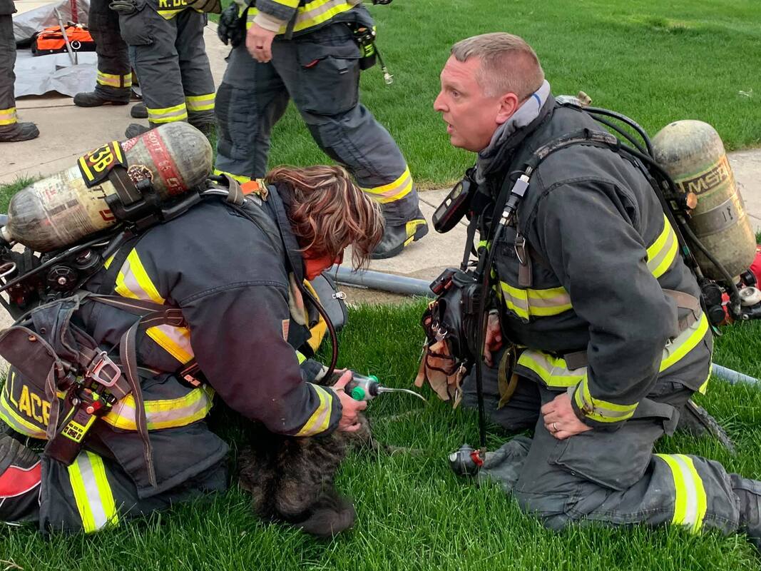 Firefighters in gear